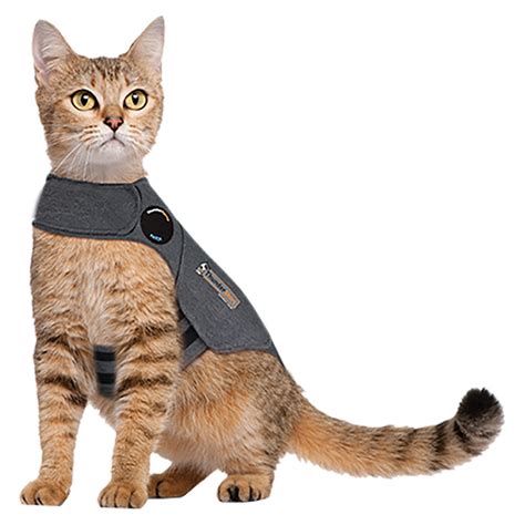 Thundershirt for cats is especially helpful during travel, vet visits or grooming. ThunderWorks,ThunderShirt for Cats - Heather Grey - Large ...