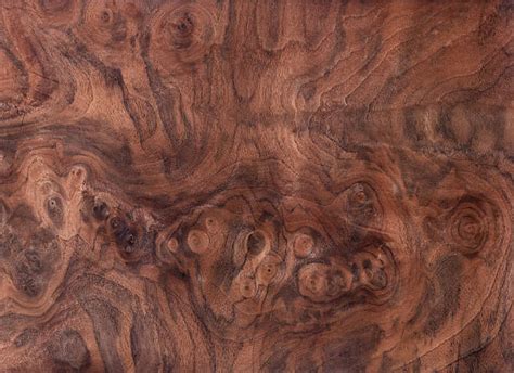 Burl Wood Stock Photos Pictures And Royalty Free Images Istock