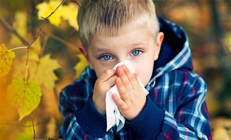 Seasonal Allergies In Children Livehealth Online