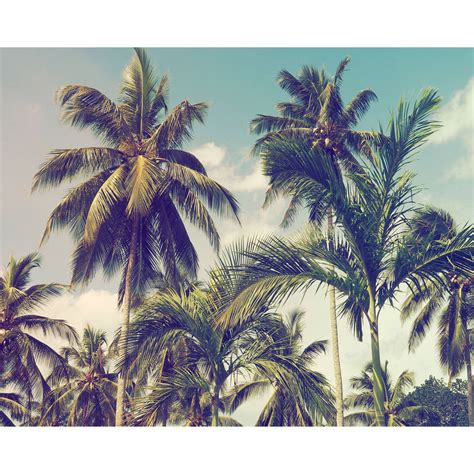 Vintage Style Palm Trees Fine Art Giclee Print By Mimi And Mae