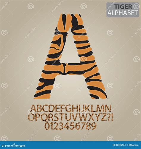 Tiger Stripe Alphabet En Aantallenvector Vector Illustratie