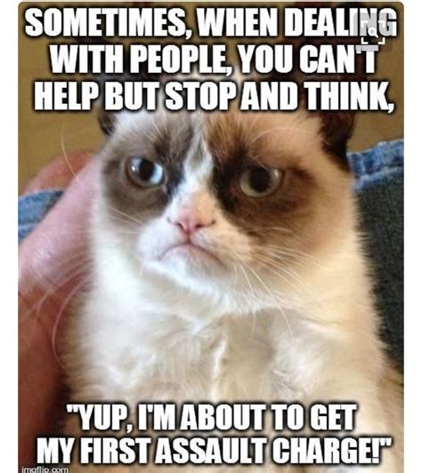 Pin By Jerry Brady On Funny Grumpy Cat Humor Grumpy Cat Quotes