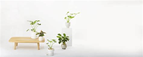 Plant Pots | Handcrafted Ceramics | Self-Watering Planters