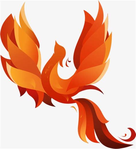 Cartoon phoenix PNG and Clipart | Phoenix bird, Phoenix art, Phoenix images