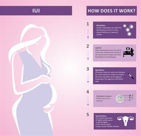 Iui Procedure Cost In Hyderabad Chennai Iui Pregnancy And Success Rate