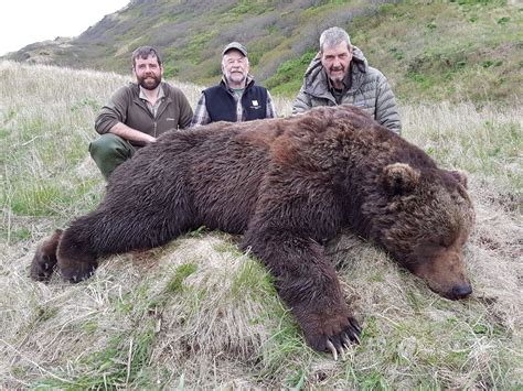 12 Day Spring Kodiak Island Brown Bear Hunt For 1 Hunter Wsf World