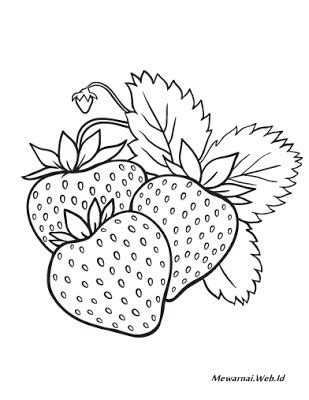 Gambar mewarnai buah merupakan satu cara yang sangat mudah untuk mengenalkan nama nama buah selain itu juga kegiatan tersebut dapat mengasah otak untuk. Mewarnai Gambar Strawberry | Mewarnai cerita terbaru lucu ...