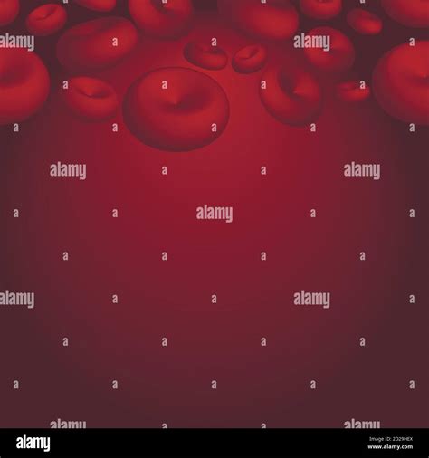 Red Blood Cells Under Microscope Stock Vector Image And Art Alamy