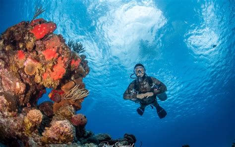 Cozumel Diving Salty Endeavors Scuba Dive Shop