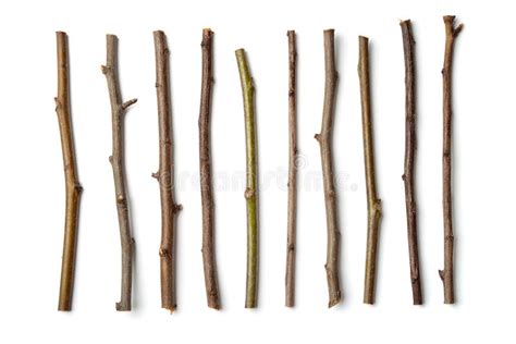 Row Of Dry Wooden Twigs Stock Photo Image Of Background 78940482
