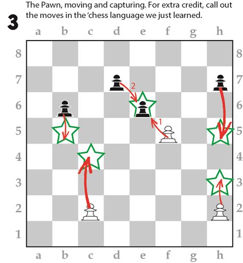 Chesswizards The Chess Rules