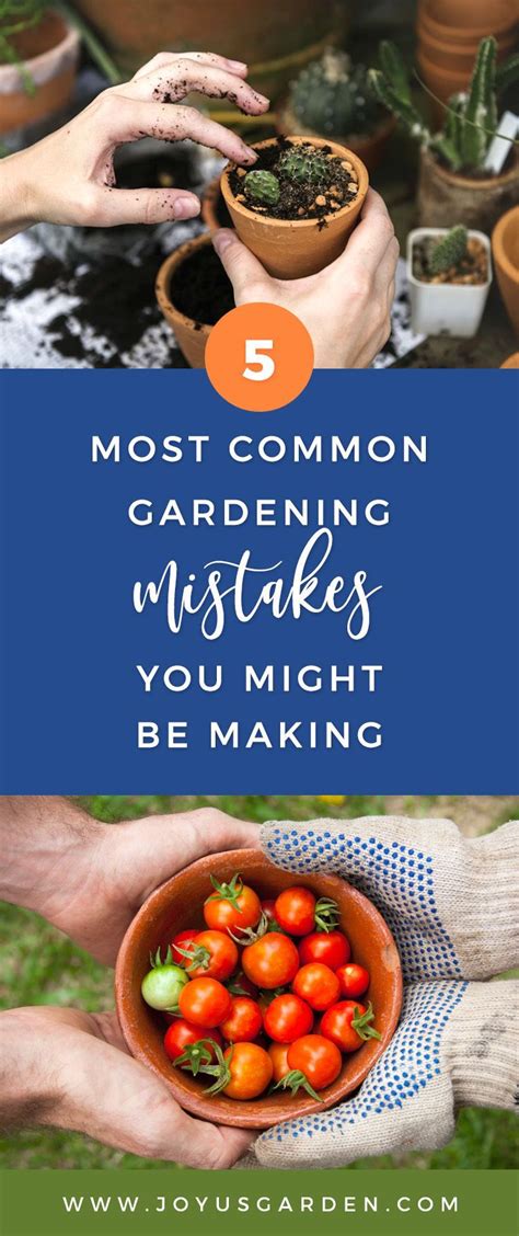 5 Common Gardening Mistakes And How To Avoid Them Joy Us Garden