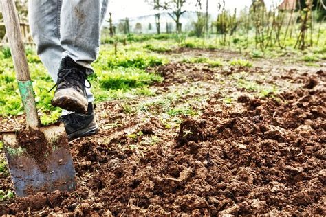 Verwilderten garten umgraben so peppen sie ihn auf. Garten umgraben: Notwendig oder nicht? | Garten umgraben ...