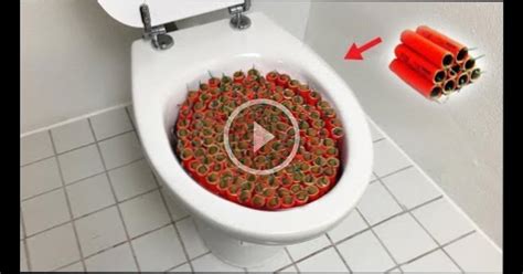 1000 Firecrackers Vs Toilet Amazingworld