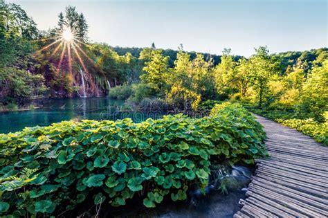 Attractive Morning View Of Plitvice National Park Colorful Spring