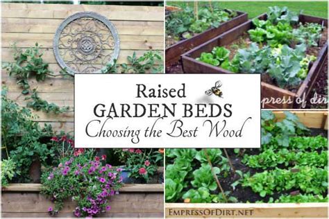 Check spelling or type a new query. Best Wood for Raised Garden Beds - Empress of Dirt