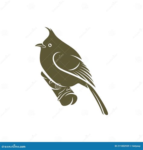 Himalayan Bulbul Bird Design Vector Illustration Creative Himalayan