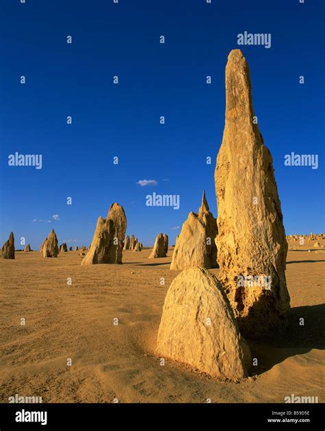 rock formations known as the pinnacles in desert of the nambung national park cervantes