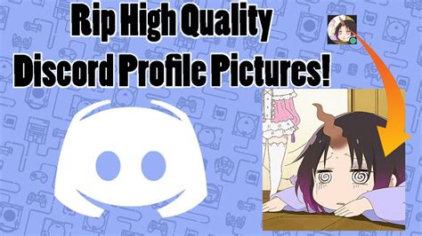 How To Steal High Quality Discord Profile Pictures Youtube
