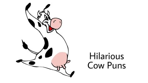 80 Fantastically Funny Cow Puns To Put You In A Happy Moo D Laughitloud