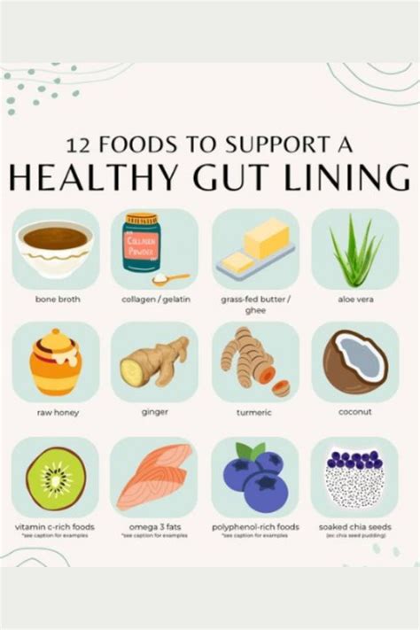 Some Best Foods For Gut Healing Healthy Hormones Healthy Snacks