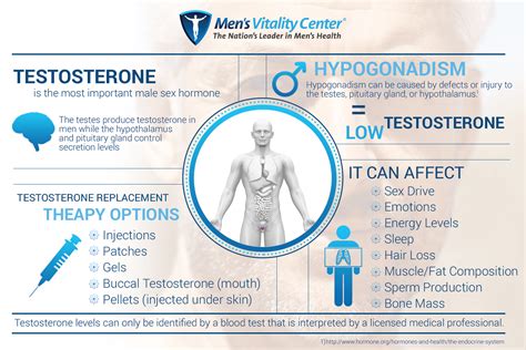 Low Testosterone Replacement Therapy In Tucson Basics Of Testosterone Infographic