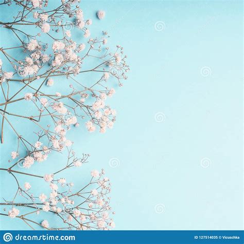 Light Blue Floral Background With White Gypsophila Flowers