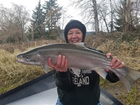 Umpqua River Fishing