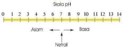 We did not find results for: Kimia SMA: Konsep pH "ASAM-BASA"