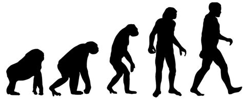 Naledi were first discovered between 2013 and 2014, deep in a south african cave. Evolution als Thema im Abitur - Evolution