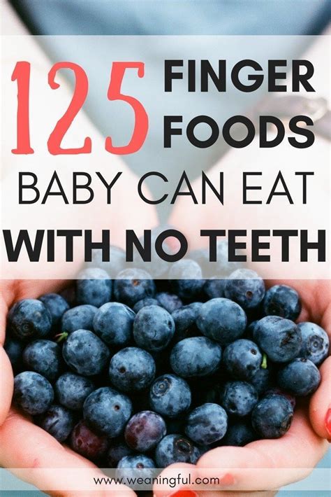 But it isn't anything goes. 125 first foods for babies with no teeth - What to feed ...