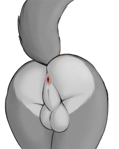 Rule 34 Anthro Ass Backsack Butt Focus Hi Res Male Male Anus Male