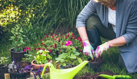 8 Spring Gardening Tasks You Should Do Now