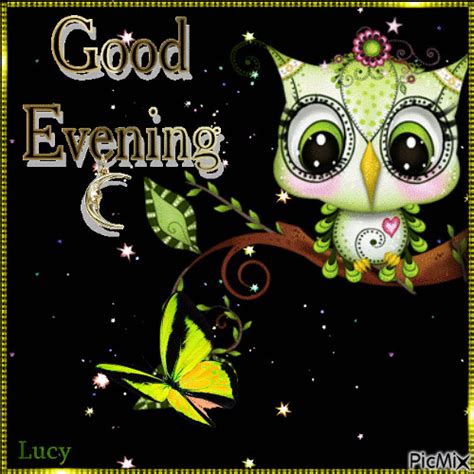 Owl Good Evening Animated Quote Pictures Photos And Images For