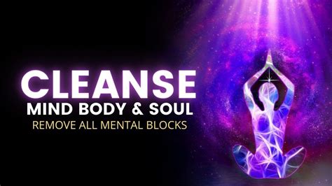 Cleanse Your Mind Body And Soul Remove All Mental Blocks Conflict