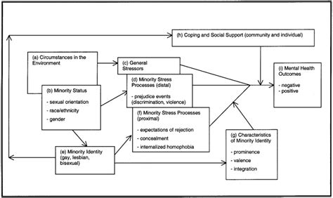Minority Stress Processes In Lesbian Gay And Bisexual Populations Download Scientific Diagram