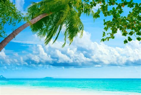 Tourism: Tropical Beaches