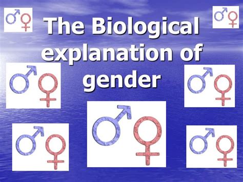 Ppt The Biological Explanation Of Gender Powerpoint Presentation