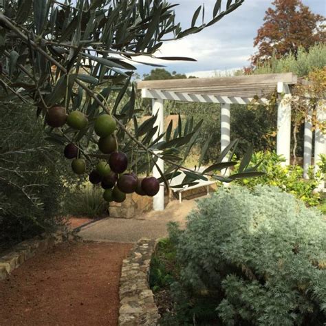 The Bible Garden A Spiritual Garden Containing Plants From The Bible