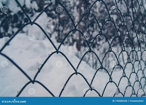 Mesh Chain Link Slums Ghetto Mesh Fence Stock Photo Cartoondealer