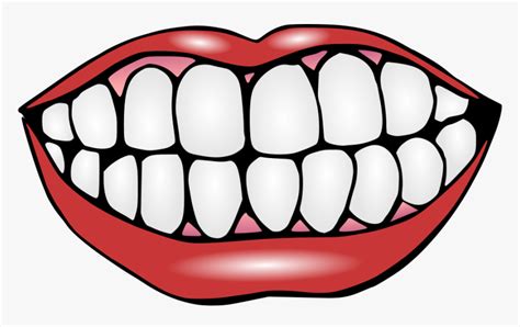 Dental Clipart Perfect Smile Teeth Clipart Hd Png Download