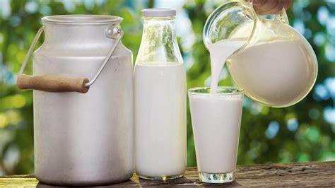 هل الحليب صحي تخيل ممكن ميكونش صحى محجبات