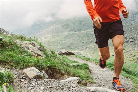 ►i used truss physics for the tires, for the front leaf springs, for the for the rear leaf springs, and for the frame so it can twist. Run For Your Life! Finding The Best Running Track Near Me