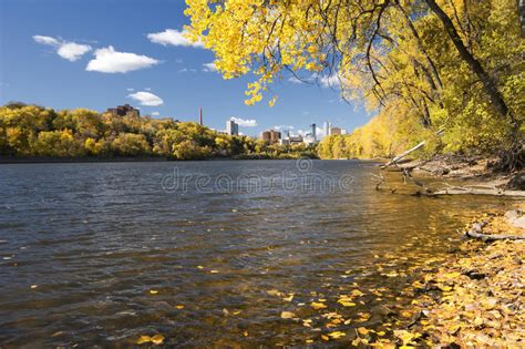 Autumn Colors Along The Mississippi River Minneapolis Skyline In The