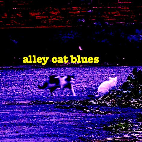 Alley Cat Blues Luke Treble