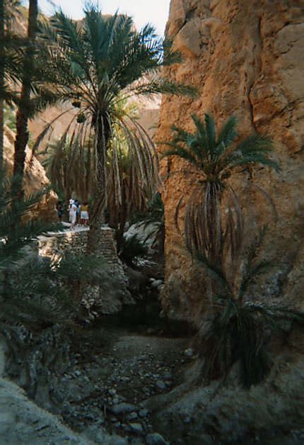 Oasis De Montagne Tozeur Région De Tozeur Gafsa Et Kebili