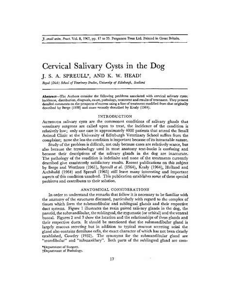 Pdf Cervical Salivary Cysts In The Dog Dokumentips