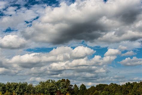 Cloudy Pinelands Landscape Days Louis Dallara Photography