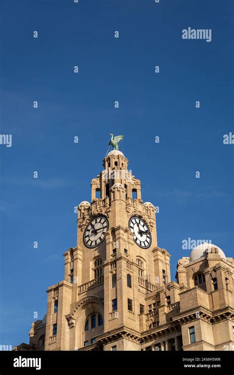 Liverpool Uk The Clock Tower Of The Royal Liver Building On The City