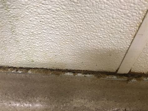 Panolam frp panels will not rust, corrode, peel, splinter or support mold and mildew. Frp Ceiling Panels | Taraba Home Review